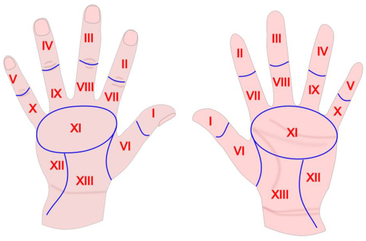sanificare le mani-grafica mani